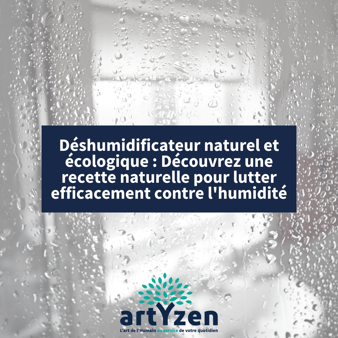 Déshumidificateur naturel et écologique : Découvrez une recette naturelle pour lutter efficacement contre l'humidité
